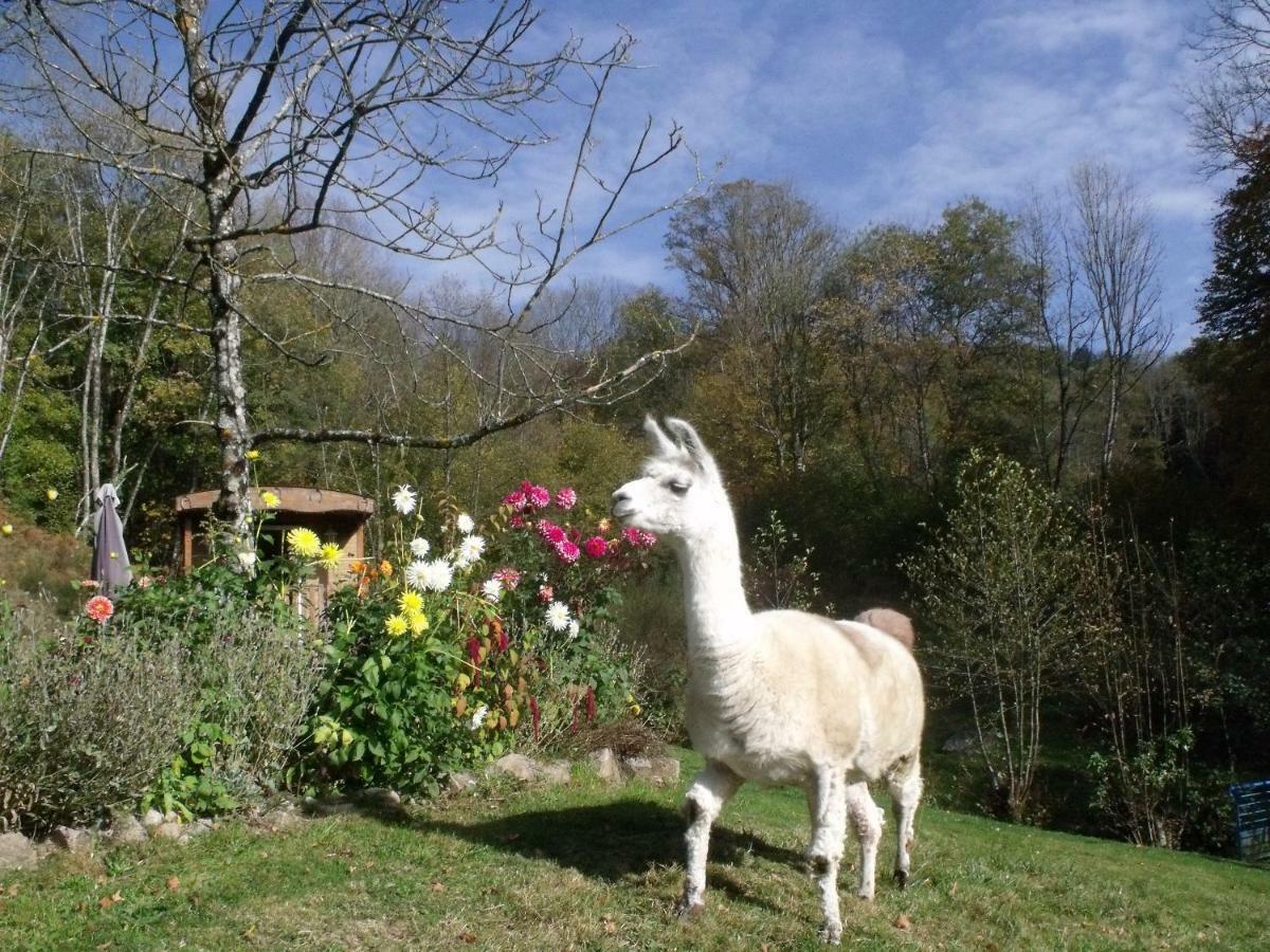 Le Domaine Du Chatelet Ferdrupt エクステリア 写真